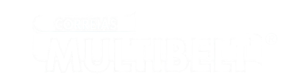 logo multibelt