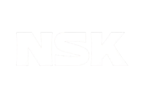 logo nsk
